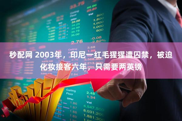 秒配网 2003年，印尼一红毛猩猩遭囚禁，被迫化妆接客六年，只需要两英镑