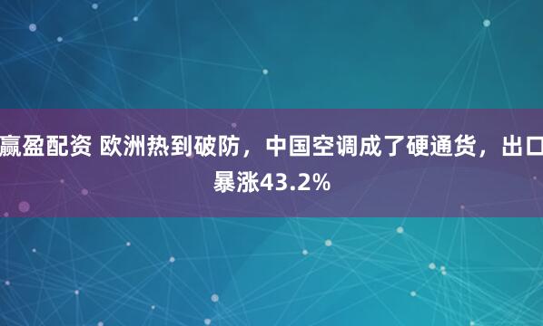 赢盈配资 欧洲热到破防，中国空调成了硬通货，出口暴涨43.2%