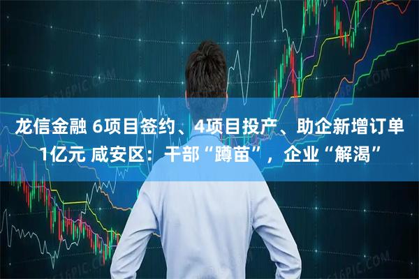 龙信金融 6项目签约、4项目投产、助企新增订单1亿元 咸安区：干部“蹲苗”，企业“解渴”