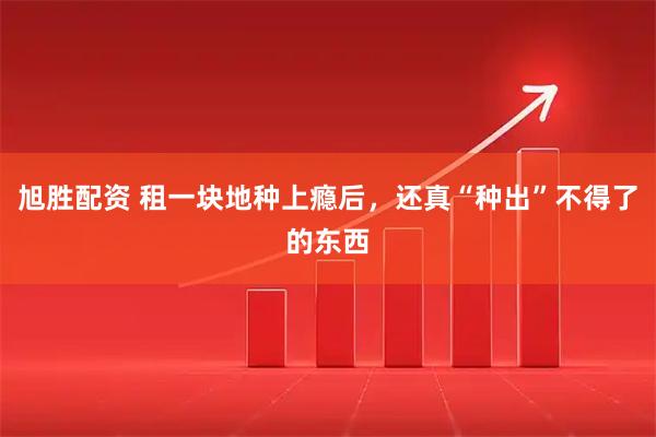 旭胜配资 租一块地种上瘾后,还真“种出”不得了的东西
